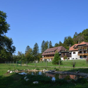 Ferienwohnung im Schwarzwald mit Balkon und Gartennutzung