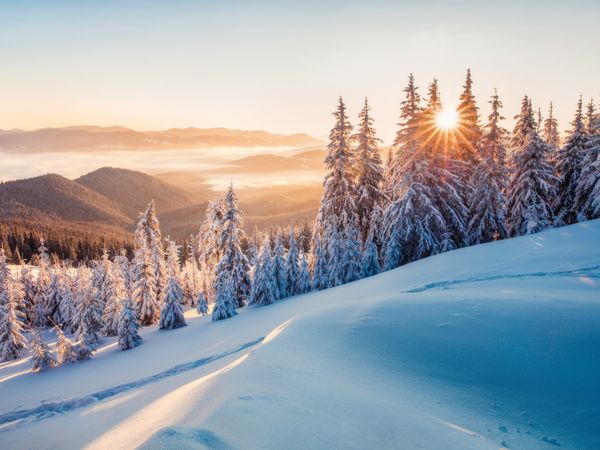 5 Tage Winterzauber im Schwarzwaldhof